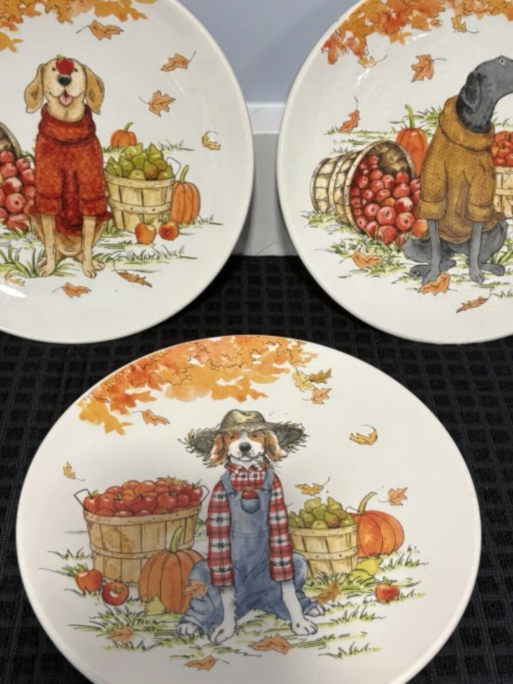 Cert Internatl Sherri Buck Baldwin Fall Orchard Dog Plates 8.5" Set 3